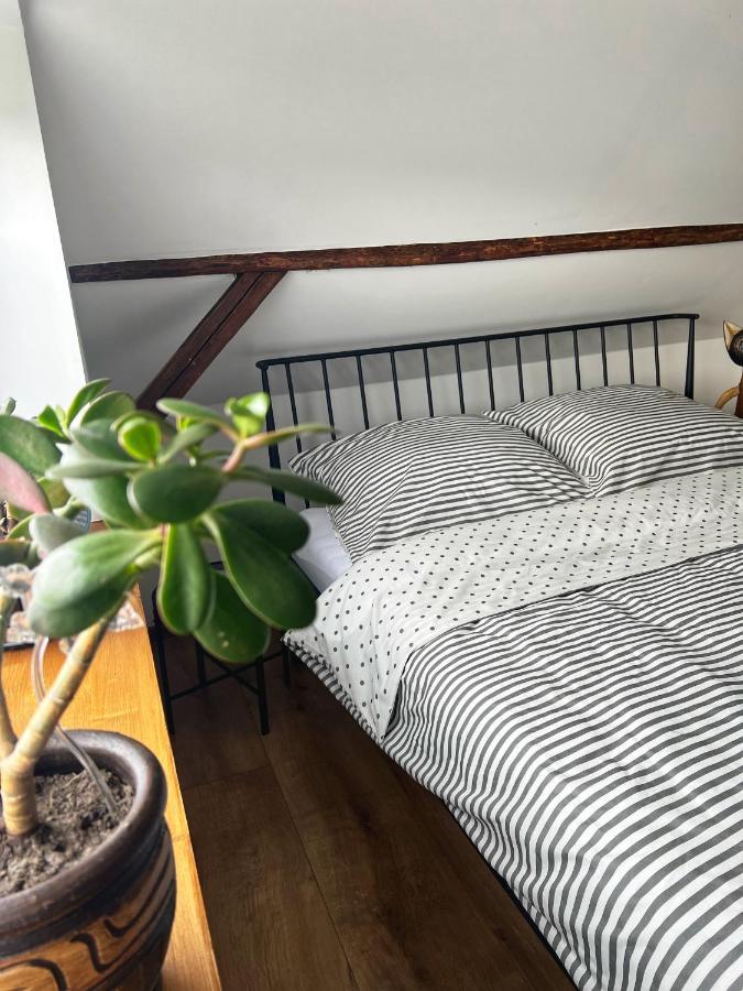 Malinowa Chatka Jankowice  Bagian luar foto